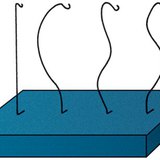 Дослідження хребта