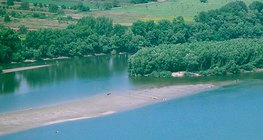 Мілина в Дунаї