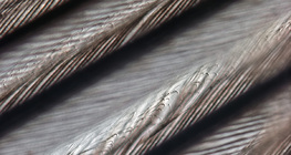 Тонка структура пера птиці з взаємопов'язаними гачечками