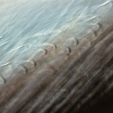 Тонка структура пера птиці з взаємопов'язаними гачечками