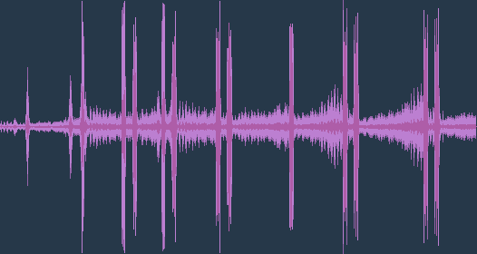 Лебідь-кликун