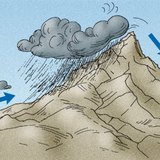 Вітряна сторона гір має вологий клімат