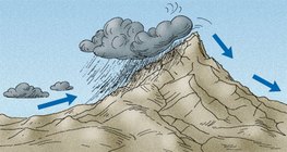 Вітряна сторона гір має вологий клімат