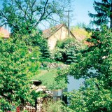 Погріб для зберігання овочів