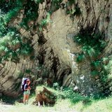Складчасті шари порід