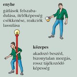 Az alkoholos befolyásoltság fokozatai