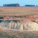 Скупчення солей на солончаку в районі Нортобадь, Угорщина
