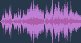 Едвард Елгар - Варіації Enigma