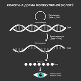 Класична догма молекулярної біології