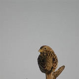 Горобець хатній (самка)