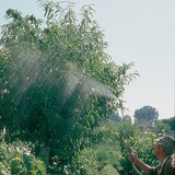 Обприскування із соком кропиви