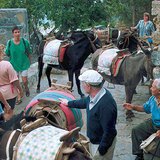 "Таксі" на острові Родос