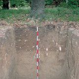 Профіль бурого лісового грунту