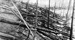 Наслідки події тунгуського метеориту 1908 року