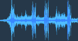 Кам'янка звичайна