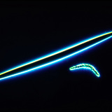 Спікули губки - мікро і макро склери (Бодяга ставкова, Spongilla lacustris)