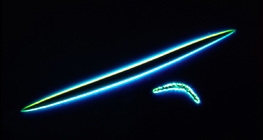 Спікули губки - мікро і макро склери (Бодяга ставкова, Spongilla lacustris)