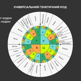 Універсальний генетичний код