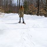 Снігоступи