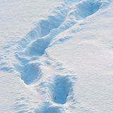 Сліди на снігу