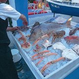 В Греції рекомендують спробувати різноманітні морепродукти
