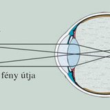 Fordított, kicsinyített kép keletkezése az ideghártyán