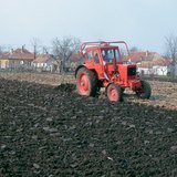 Оранка у Великій Угорській рівнини