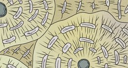 Кісткова тканина