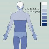 A bőr fájdalomérzékenysége a test különböző részein