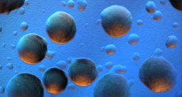 Колонії кишечної палочки (з барвником)