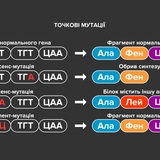 Точкові мутації