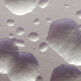 Колонії кишечної палочки (без барвника, білі)