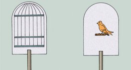 Оптична іллюзія