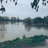 Коливання рівня води на Дунаї - 1