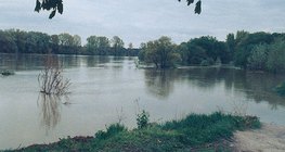 Коливання рівня води на Дунаї - 1