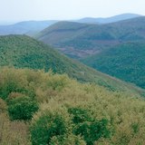 Тектонічні гори