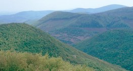 Тектонічні гори