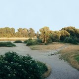 Коливання рівня води на Дунаї - 2