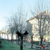 Собачий туалет