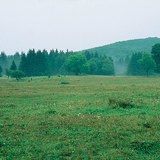 Плато Бюкк (Угорщина)