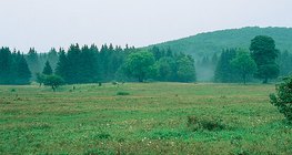 Плато Бюкк (Угорщина)