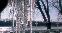 Бурулька