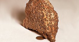 Вапняковий риф