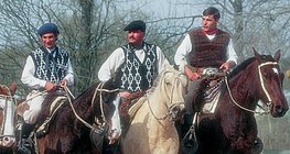 Гаучо, аргентинські ковбої (пастухи худоби)