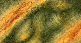 Складки шкіри пальця людини в поляризованому світлі