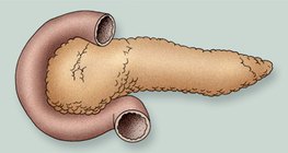 Підшлункова залоза
