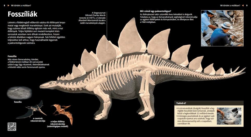 Fossils