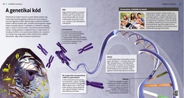 The Genetic Code