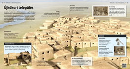 Неолітичні поселення