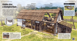 Сільське життя в середньовіччі